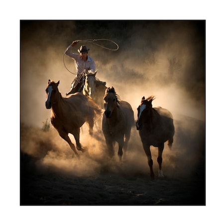 Stephen Rostler 'Roundup' Canvas Art, 14x14